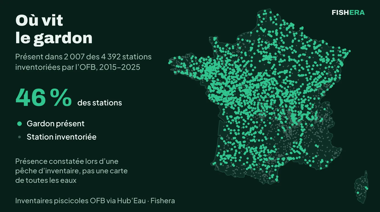 Carte de France des 4 392 stations de cours d'eau inventoriées par l'OFB de 2015 à 2025, en vert les 2 007 où le gardon a été pris (46 %), présent dans presque toutes les plaines, rare en montagne