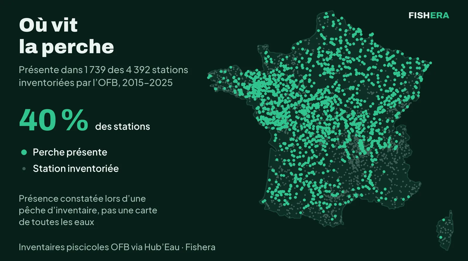 Carte de France des 4 392 stations de cours d'eau inventoriées par l'OFB de 2015 à 2025, en vert les 1 739 où la perche a été prise (40 %), dense en plaine, rare dans les Alpes, les Pyrénées et le Massif central