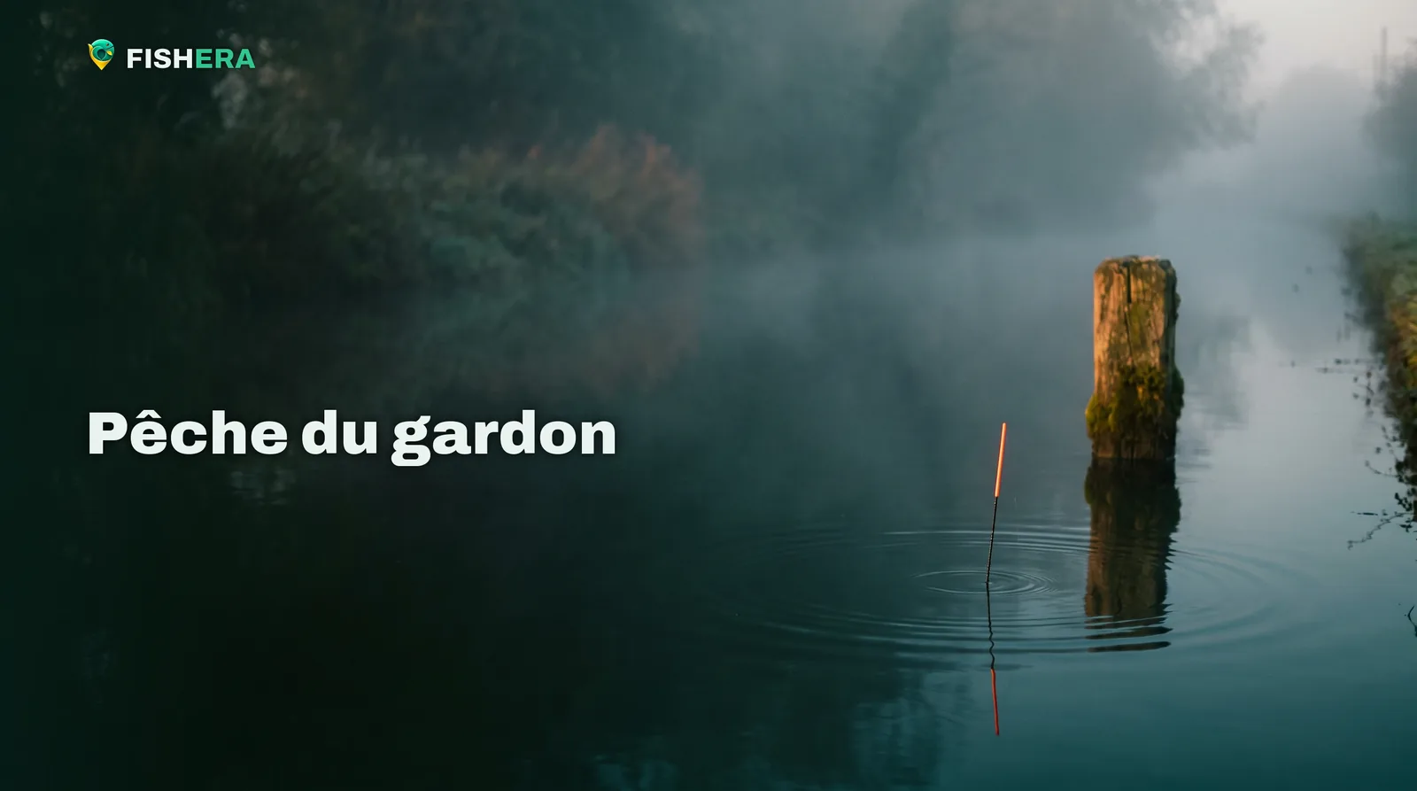 L'antenne orange d'un flotteur, seule hors de l'eau, sur la surface lisse d'un canal brumeux à l'aube, près d'un vieux pieu d'amarrage ; des ronds s'élargissent autour d'elle