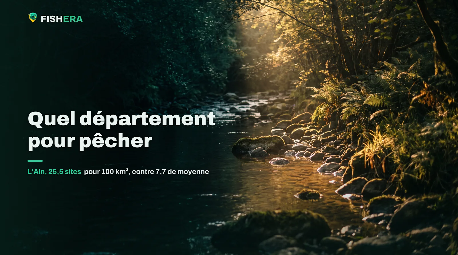 Un petit ruisseau de tête de bassin courant sur des galets de granit entre des berges d'aulnes et de fougères, un rai de lumière atteignant l'eau à droite