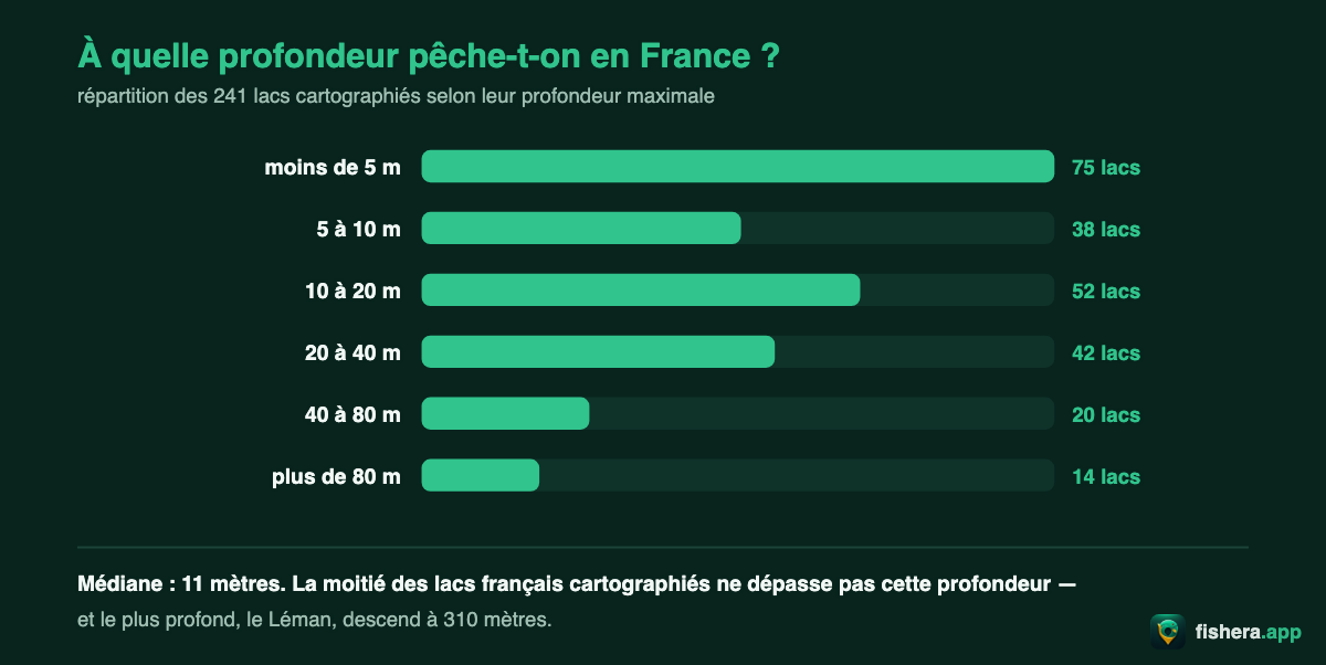 Répartition des 241 lacs français cartographiés selon leur profondeur maximale : 75 lacs sous 5 mètres, médiane à 11 mètres