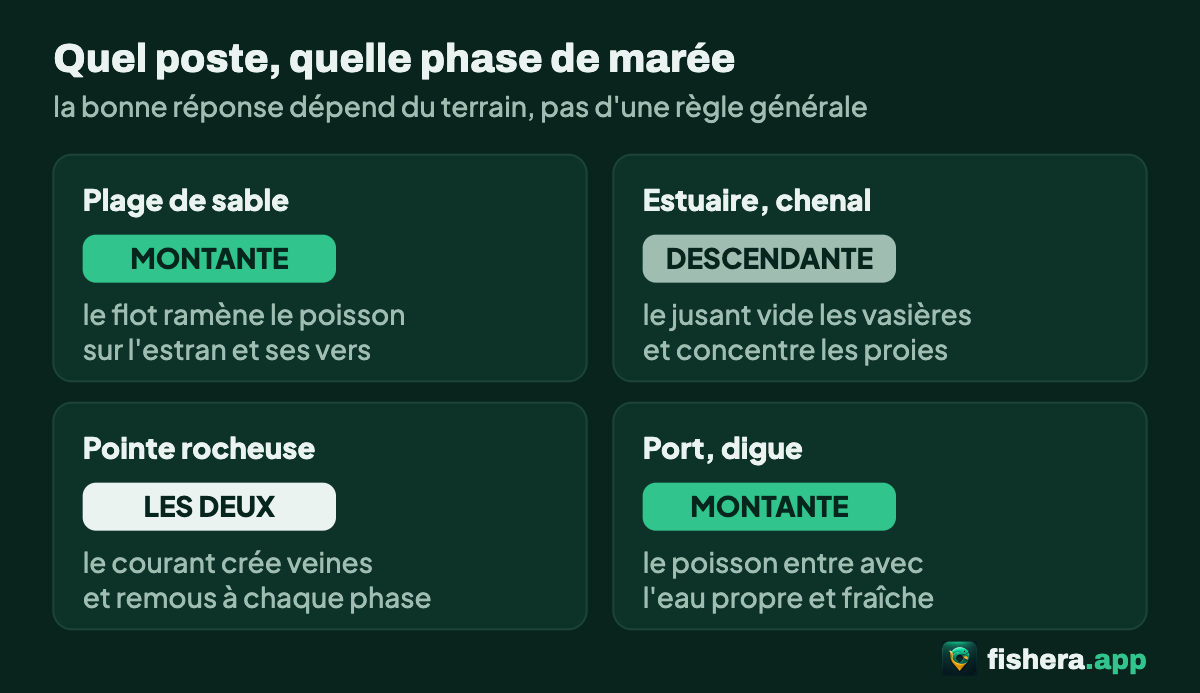 Quatre types de postes de pêche en mer et la phase de marée qui leur convient : plage à la montante, estuaire à la descendante, pointe rocheuse aux deux, port à la montante