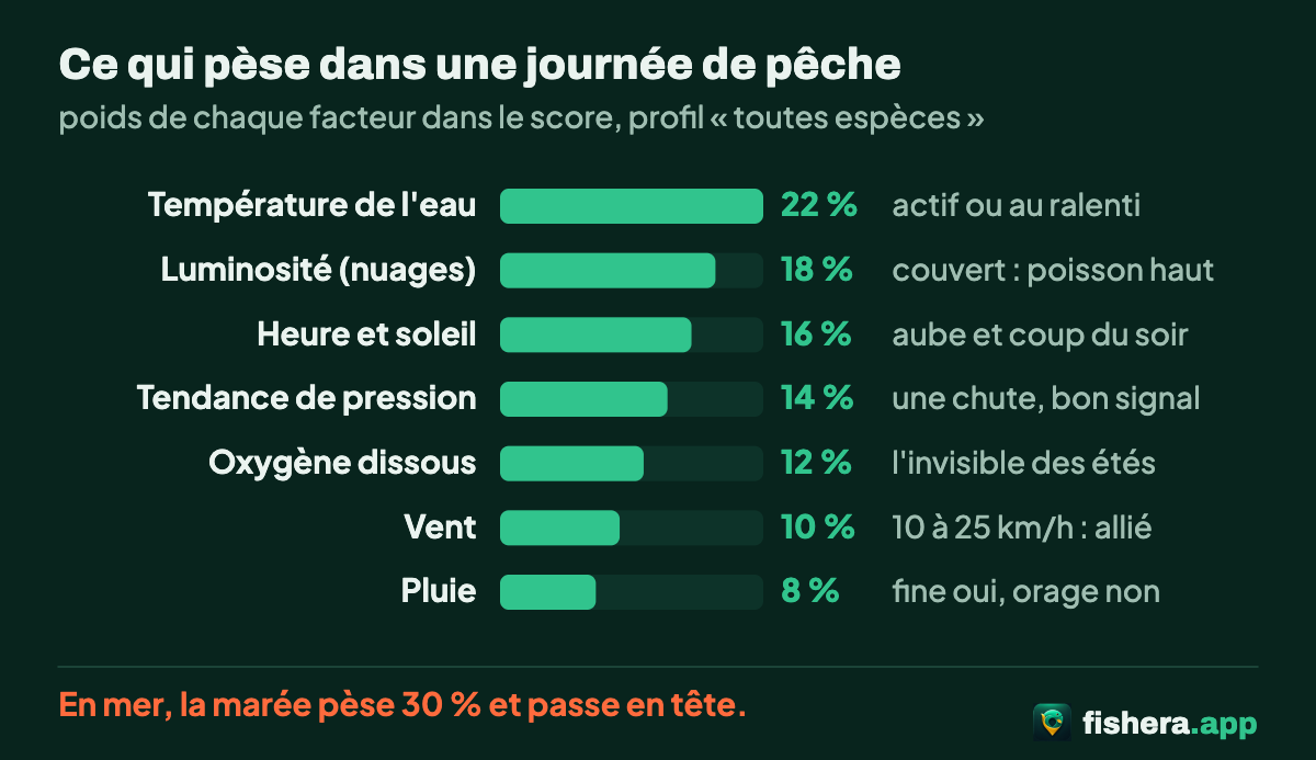 Graphique du poids des sept facteurs météo dans le score de mordage : température de l'eau 22 %, luminosité 18 %, heure 16 %, tendance de pression 14 %, oxygène 12 %, vent 10 %, pluie 8 %