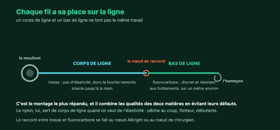 Ligne complète montrant le corps de ligne en tresse, le nœud de raccord et le bas de ligne en fluorocarbone