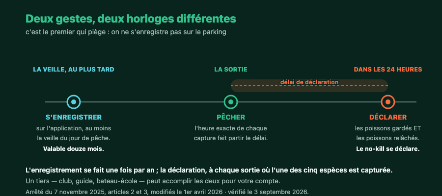Frise des deux obligations : enregistrement au moins la veille, puis déclaration dans les 24 heures suivant la capture