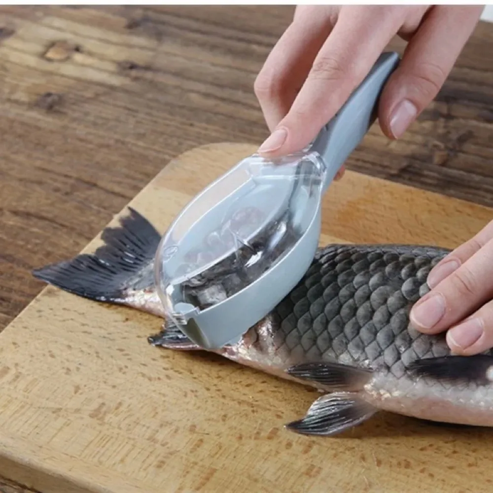 Écailleur à poisson avec couvercle